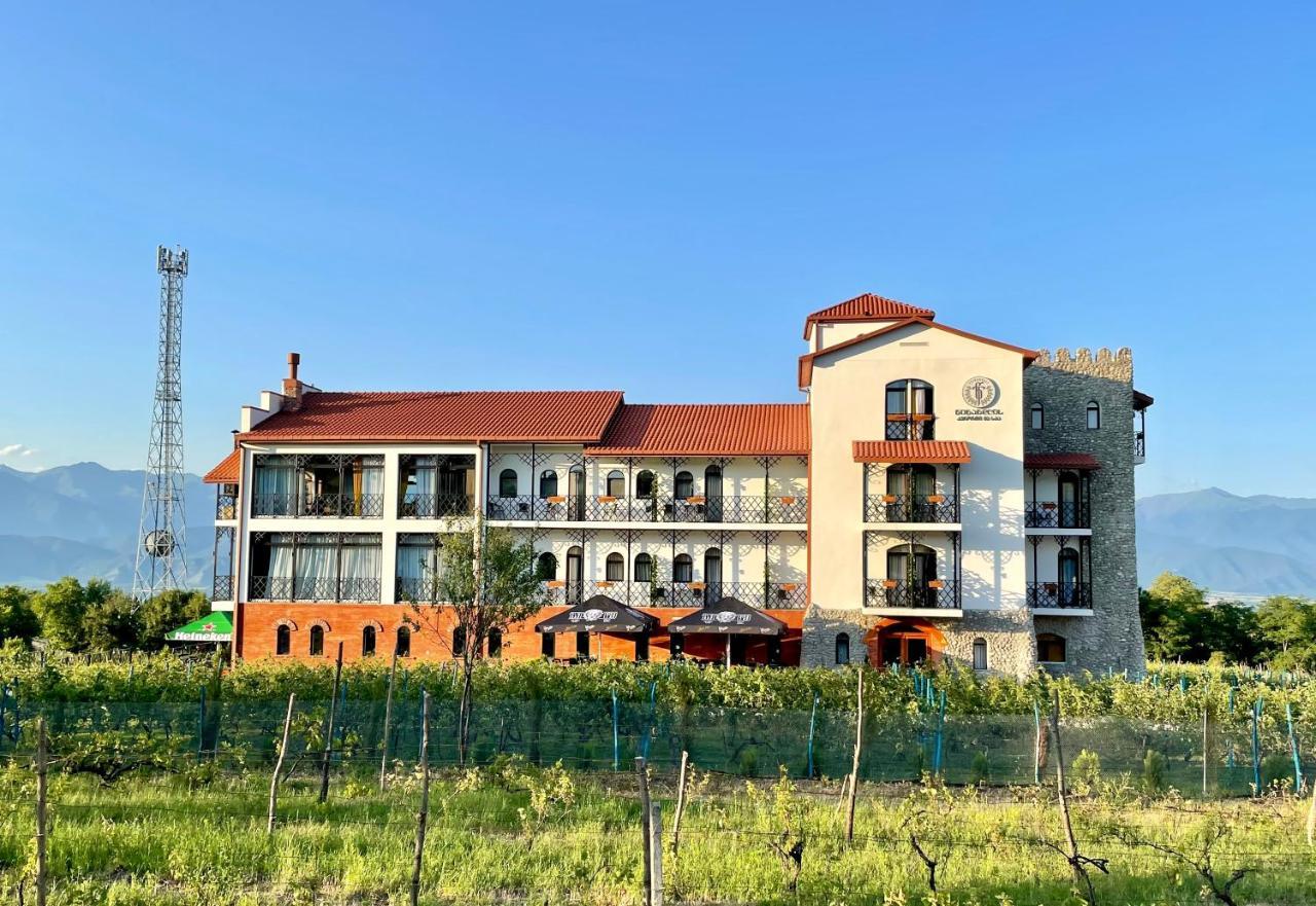 Tsinandali Resort & Spa 外观 照片