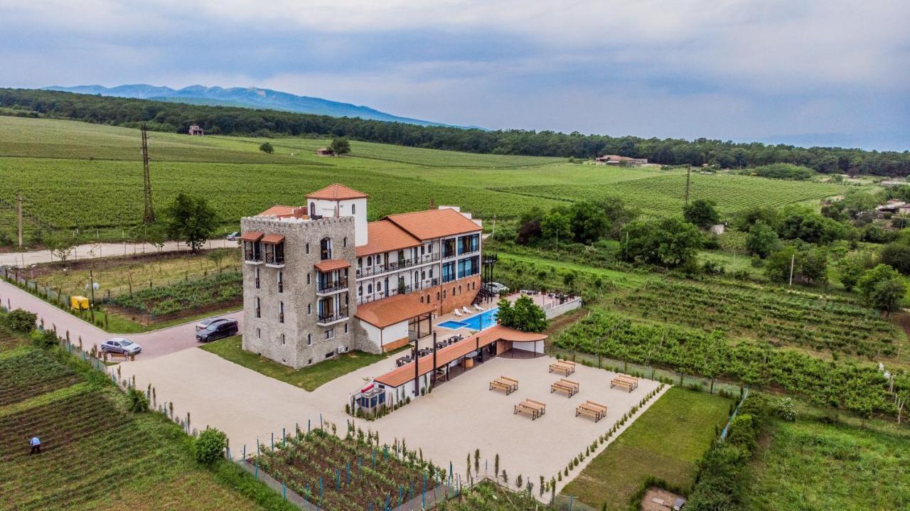Tsinandali Resort & Spa 外观 照片