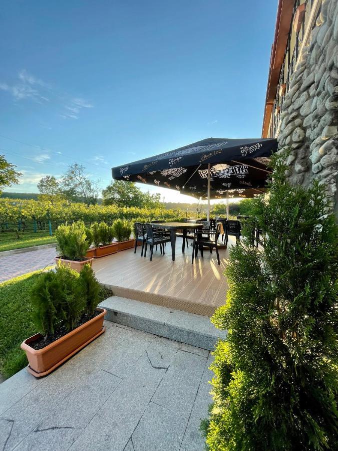 Tsinandali Resort & Spa 外观 照片