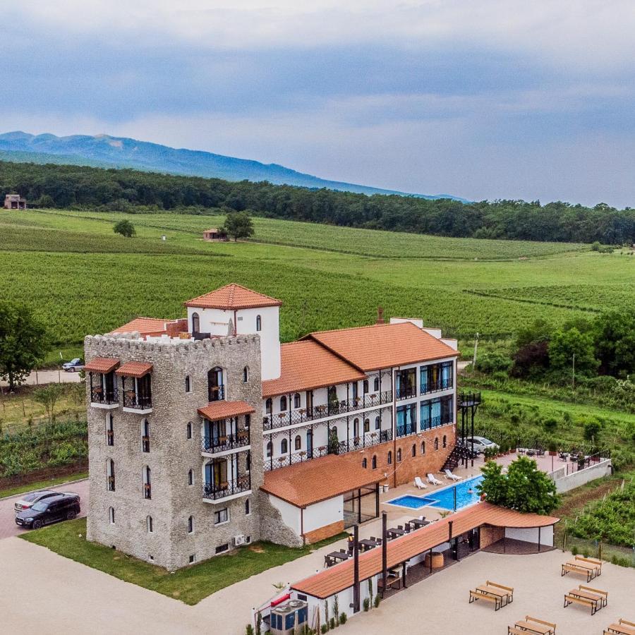 Tsinandali Resort & Spa 外观 照片